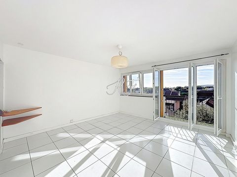 photo no. 1