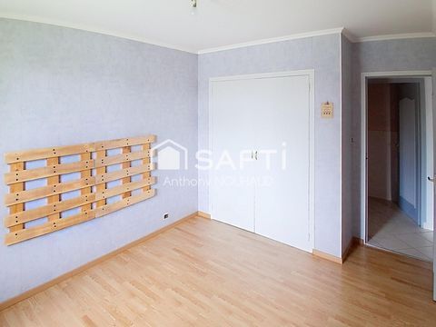 photo no. 6