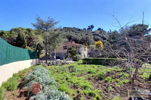 photo no. 16