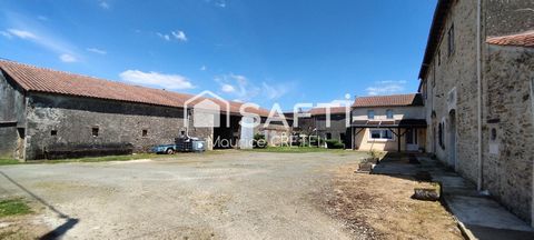 photo no. 2