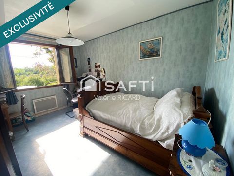 photo no. 11