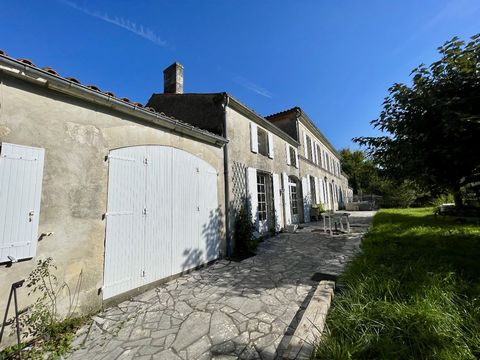 photo no. 8