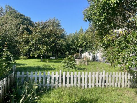 photo no. 12