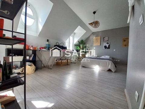 photo no. 7