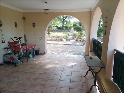 photo no. 10