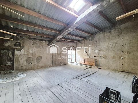 photo no. 7