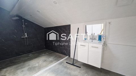 photo no. 11