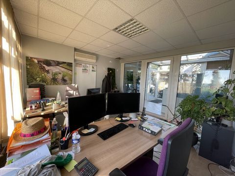 photo no. 8