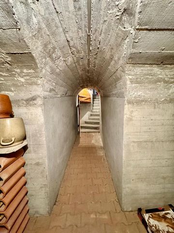 photo no. 16