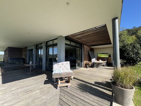 photo no. 10