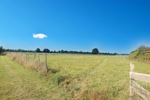 photo no. 16