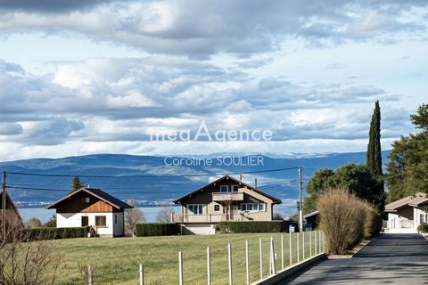 photo no. 15