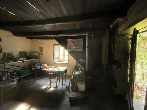 photo no. 23