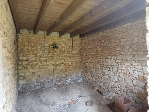 photo no. 4