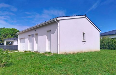 photo no. 6