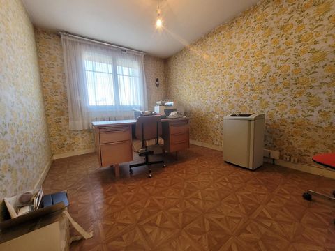 photo no. 11
