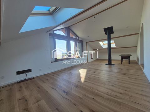 photo no. 16