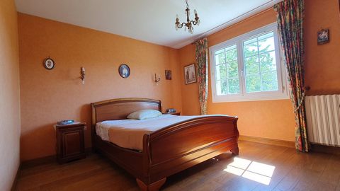 photo no. 9