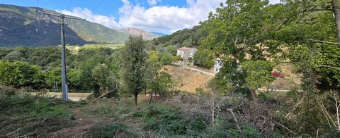 A SAISIR TERRAIN CONSTRUCTIBLE - OLMICCIA