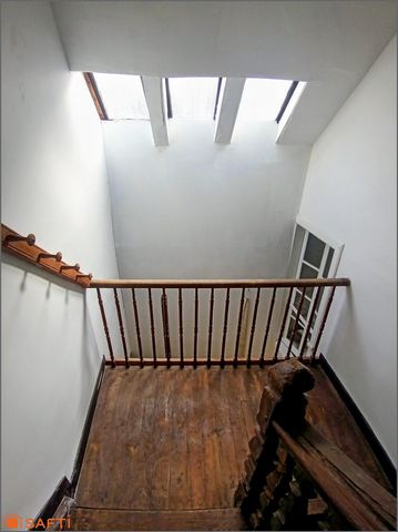 photo no. 10