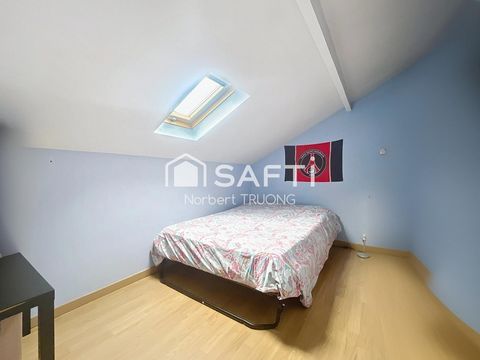 photo no. 11