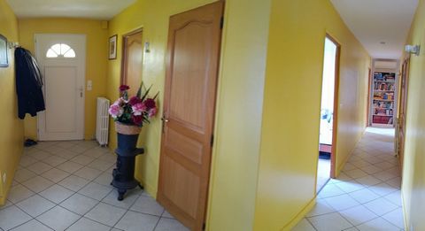 photo no. 11