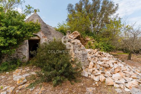 Nel cuore della Valle dItria, Tre autentici complessi di Trulli da ristrutturare a Martina Franca Proponiamo in vendita tre splendide strutture tipiche a Trulli, da ristrutturare, immerse nella suggestiva campagna di Martina Franca, in Strada Monte P...