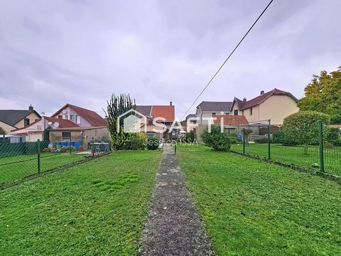 photo no. 8