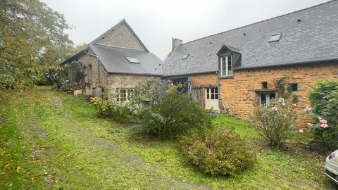 photo no. 2