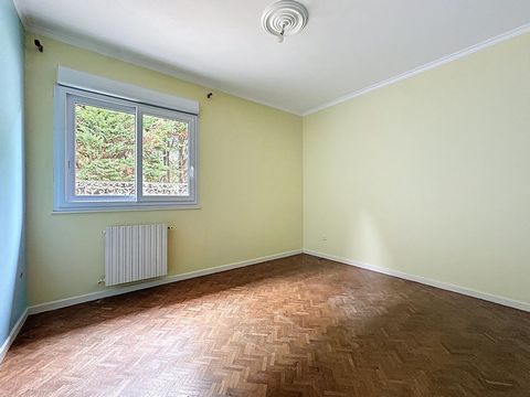 photo no. 8
