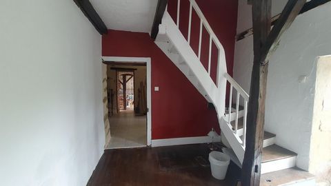 photo no. 4