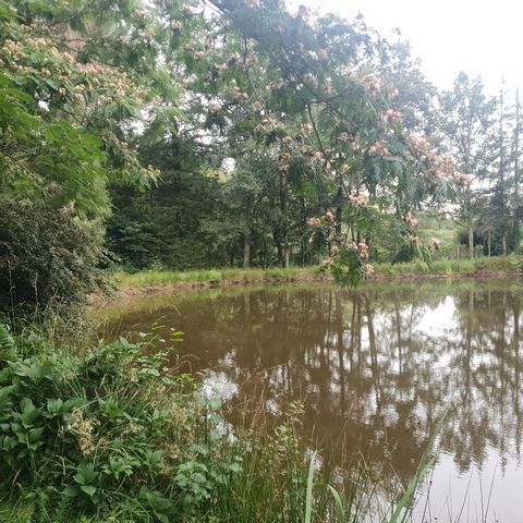 photo no. 15