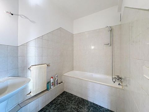 photo no. 12