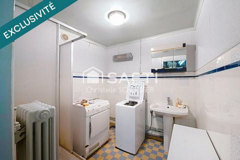 photo no. 13