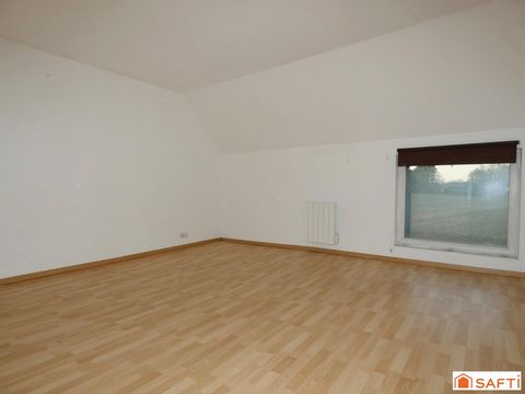 photo no. 13