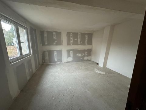 photo no. 6