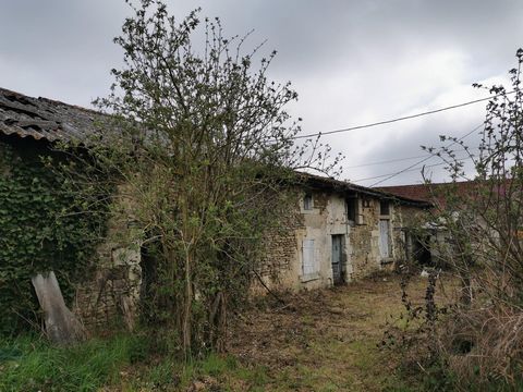 photo no. 1