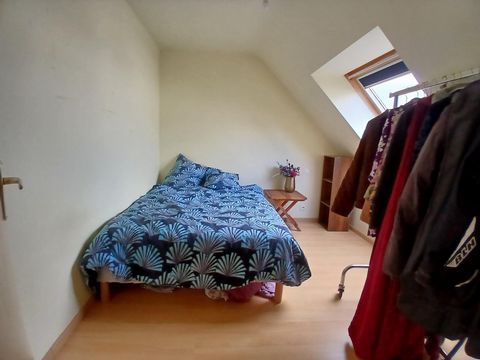 photo no. 13