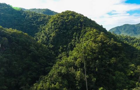 Angel Falls Adventure park is located at the mid point of the Hummingbird Highway at one of the highest points in Belize with peaks that capture clouds rolling in from the sea that dump large amounts of rainfall to help create the tallest, thickest a...