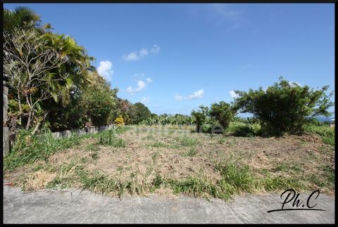 Martinique à vendre BASSE POINTE terrain de 476 m²