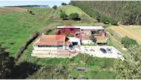 Farm with 6600m², with a V2 house inserted in it. House consisting of 1 suite and 1 bedroom, 1 bathroom, equipped kitchen, dining room, living room and a sunroom around the entire house. There is also a house to recover and a warehouse on the propert...