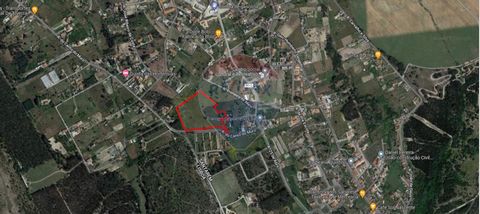 Rustikales Grundstück in der Gemeinde Vale da Pedra mit 27760 m2, eingefügt in den Stadtumfang der Gemeinde Vale da Pedra. Das Grundstück befindet sich an einem der höchsten Punkte der Gemeinde Vale da Pedra und ist eine großartige Investition, um Ih...