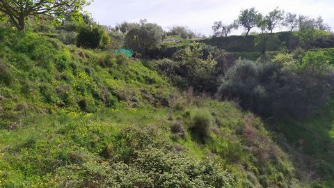 Land divided into 2 plots, one of 1,716m2 consisting of 2 buildings; 1 tool house of 40m2 and a house halfway to finish of about 70m2 approx. The second plot consists of 1,307m2 on a slope. It has its own water well, septic tank and electricity suppl...