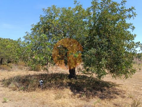 Rustic land with 12,200 m2, in Foz de Odeleite, in Castro Marim - Algarve. Land with many trees. With irrigation water and electricity. Overlooking the Algarve Mountains. Quiet location. Excellent opportunity. Flat part for caravan and removable hous...