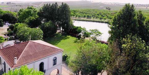Farm with 18.5 ha, located in the Ferreira do Alentejo area. The property currently has 2200 m2 of construction. A good opportunity for the hotel sector, just over 1 hour from Lisbon and 40 minutes from the Alentejo coast. The center of the social ar...