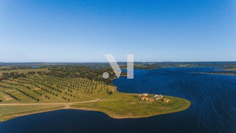 Fantastic 1 hectare farmhouse by the lake 15 minutes from Alcácer do Sal, you will find this unique 1-hectare farm flanked by the waters of the Dam. The property has a ruin of 170 m2 so that you can develop the project of your dreams. The farm also h...