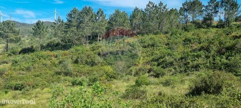 EXCELLENT PLOT OF RUSTIC LAND WITH 6160 M2 NAME: Dancer in Matacães Very sunny, predominant exposure to the south, unobstructed view. With a 360° service, 