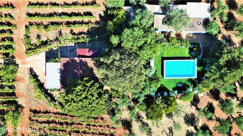 EMPLACEMENT/CARACTÉRISATION DE LA PROPRIÉTÉ : Explorez l’opportunité unique d’acquérir une propriété rurale à couper le souffle au cœur de l’Alentejo, où le charme du paysage se combine avec la culture de la vigne et de l’olivier. Cette petite ferme ...