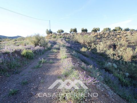 Beautiful Finca of 24,000 m 2 with olive and almond trees, has made a survey of well, stunning views to the sea and the mountains. #ref:4443