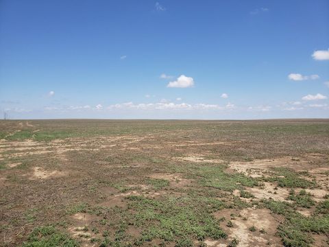 Wright's Farm and Ranch Parcel 9 is a 415 +/- acre parcel of dryland farm ground. This parcel has a crop share lease for the 2023 crop season with the owner's share going to the Buyer. This parcel would be a great opportunity to add to your investmen...